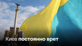 Военный эксперт о том, как Украина выполняет свои обещания Западу