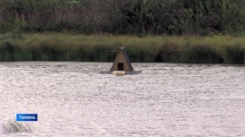 Утиные домики на воде установили на тюменском озере в районе Лесобазы