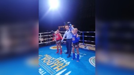 Спортсмены из Тутаева выиграли первенство мира по тайскому боксу