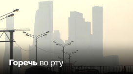 Из-за пожаров в Рязанской области Москву снова может накрыть смог в выходные