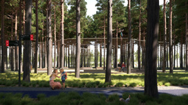 Проект тындинского парка «Багульник» стал победителем всероссийского конкурса