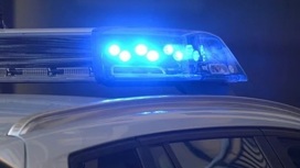 В Ярославле полицейские задержали подозреваемого в убийстве человека