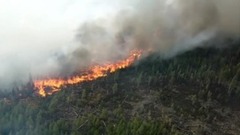 В России сейчас горит около 106 тысяч гектаров леса