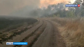 В Мелеузовском районе Башкирии горит поле