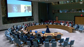 Украина потребовала немедленно созвать заседание СБ ООН