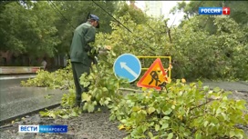 Супертайфун "Хиннамнор" "выключил" свет в Хабаровске: в крае устраняют последствия стихии
