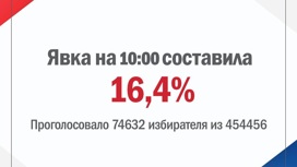Явка избирателей Псковской области 11 сентября на 10:00 составляет 16,4%