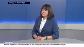 Татьяна Толкмит – о помощи предпринимателям в условиях санкций
