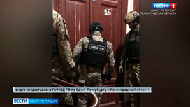 В Петербурге арестовали банду предполагаемых "черных риелторов"