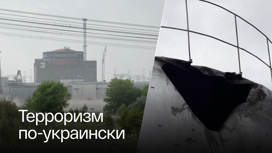 ВСУ хотят сделать Запорожскую АЭС обузой