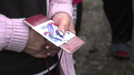 В ДНР, ЛНР и областях отчитались о явке на референдумах