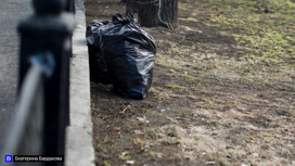 Томские школьники убрали мусор в городских парках и скверах