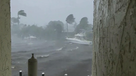 Акула заплыла на городскую улицу во Флориде из-за урагана