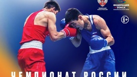 В Чите стартует чемпионат России по боксу