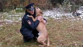 Пес-десантник: на Южном Урале собаку спасли из запертой квартиры в общежитии