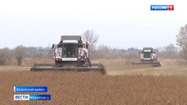Успеть взять урожай: в Хабаровском крае началась уборка сои