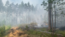На Урале действует 12 природных пожаров