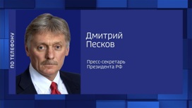 Песков прокомментировал идею Маска о проведении повторных референдумов