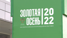 Ярославская делегация участвует во всероссийской выставке "Золотая осень"