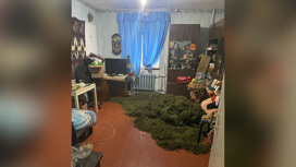 Ковер из марихуаны: в квартире жителя Белогорска нашли более 27 кг наркотиков