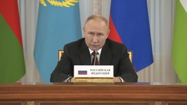 Путин на неформальном саммите глав стран СНГ