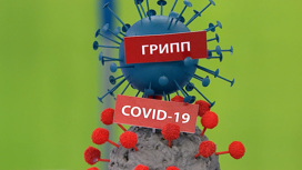 Доктор Мясников предрек всплеск гриппа и коронавируса в новом простудном сезоне