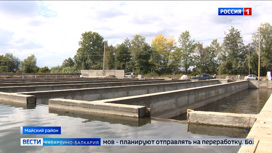 В Майском районе создали предприятие по разведению рыбы лососёвых пород