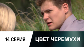 Серия 14
