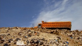 В России из органических отходов будут производить техногрунт