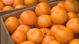В Роскачестве раскрыли секреты выбора мандаринов