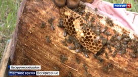 Пчеловод из Альметьевска передал бойцам батальонов "Алга" и "Тимер" 150 кг меда