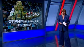 На "Твиче" собрали рекордную сумму для детей Донбасса и мобилизованных