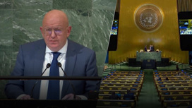 Резолюция ГА ООН о репарациях показывает истинные намерения Запада