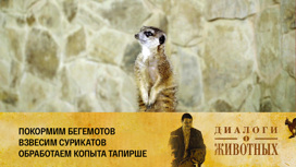 Калининградский зоопарк Серия 12