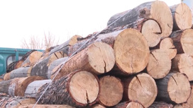 Цена на древесину в Забайкалье остается самой низкой на всем Дальнем Востоке