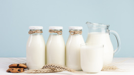 Производство заквасок для молочной отрасли в Московской и Ярославской областях обеспечит до 80% потребностей в стране