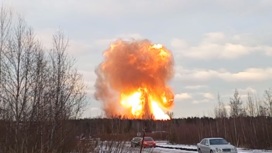 Мощный пожар тушат на газопроводе в Ленобласти