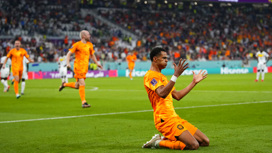 Нидерланды не без труда обыграли Сенегал на старте чемпионата мира