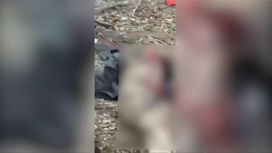 Появилось новое видео расстрела российских солдат