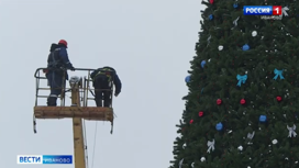 Новогодние елки начали устанавливать в Иванове