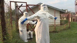 Минздрав Уганды заявил об искусственном происхождении вируса Эболы