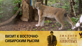 Калининградский зоопарк Серия 14