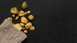 3,8 миллиона штрафа за незаконную добычу золота заплатит недропользователь в Приамурье