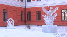 Ледовые фигуры пеликана и аиста появились возле БГПУ