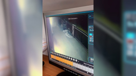 Момент нападения на дом украинской блогерши попал на видео