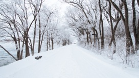 Пасмурная и снежная погода ждет новосибирцев с 5 по 9 декабря