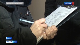 Орловчанку осудят за публичное оскорбление полицейского