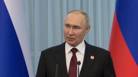 Президент РФ: для новой мобилизации никаких факторов нет