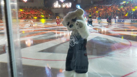 Самое громкое спортивное событие декабря: звезды КХЛ на челябинском льду