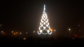 Петербург подарил Мариуполю новогоднюю ёлку